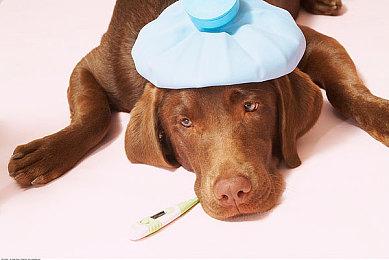 壶男即将复归 《和班尼特福迪攻克难关》VR重制公开